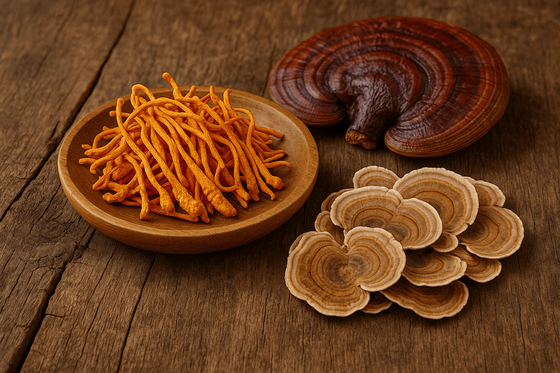 Cordyceps, Reishi, and Turkey Tail mushrooms displayed on rustic wooden surface, known for boosting endurance and stamina naturally