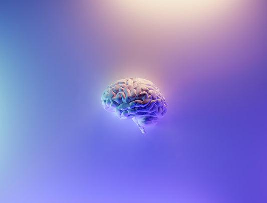 Boost Your Brain Power: The Top Mushroom Supplements for Cognitive Function