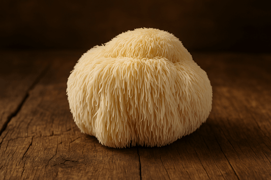 Fresh Lion’s Mane mushroom on rustic wooden surface, known for promoting nerve growth and cognitive enhancement